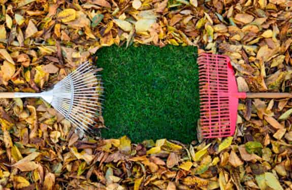 Lawn benefits from leaves